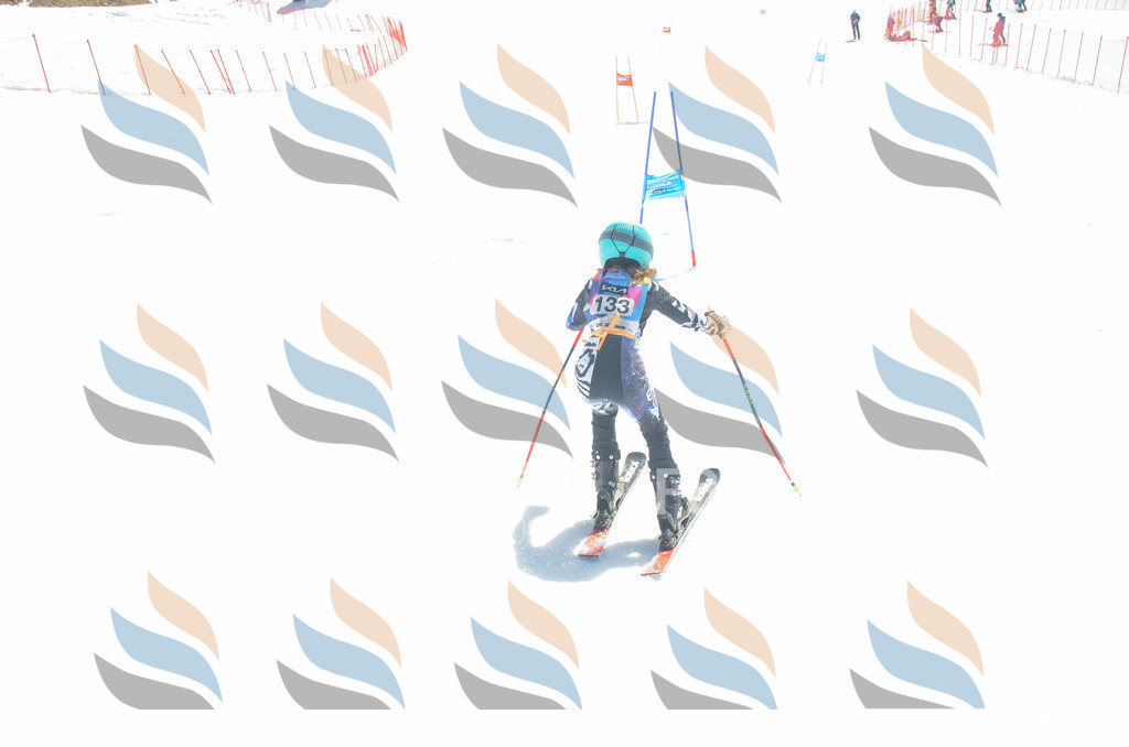 _ELE6150 | holidayphoto