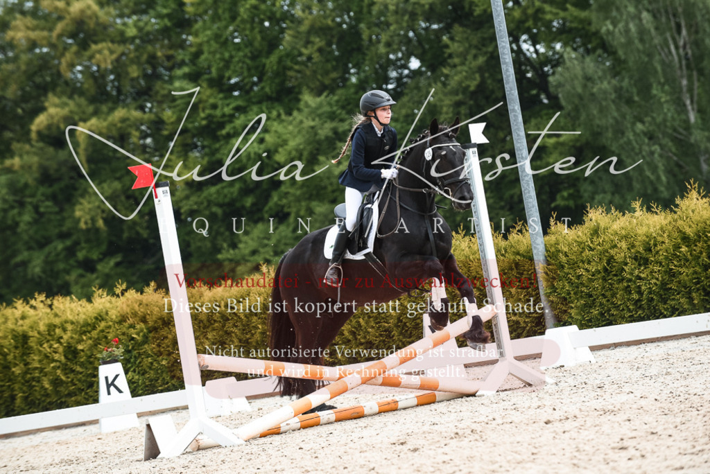 20230518_JK-Röhrsdorf-10-763 | Pferde- und Turnierfotografie in Westsachsen. Pferdeportraits, Auftragszeichnungen und intuitive Kunst.