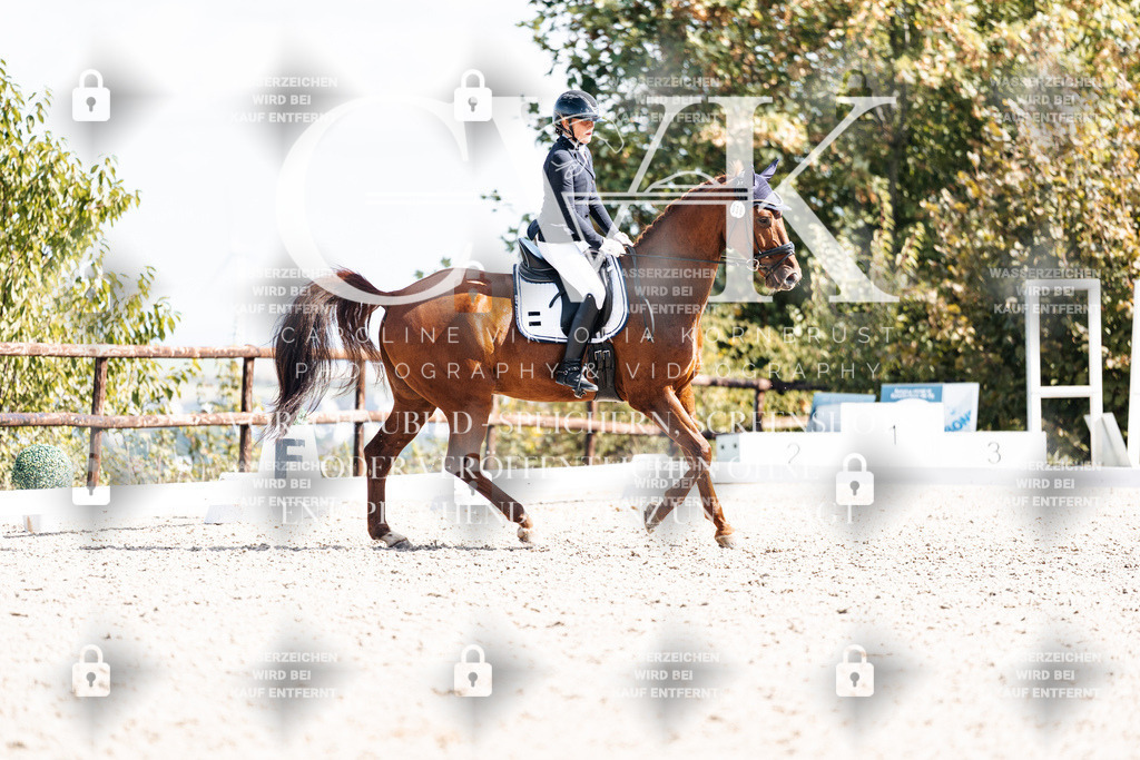 CK902644 | Turnierfotografie Pferdefotografie Trier Rheinland-Pfalz Pferdesport Reitsport Tierfotografie Sportfotografie Pferdevideo Pferdevideografie Equestrianvideography equestrianphotography  - Realisiert mit Pictrs.com