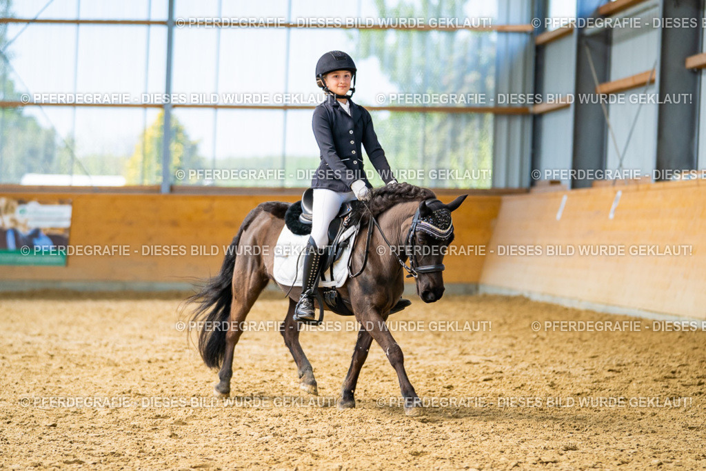 DSC09064 | Pferdegrafie