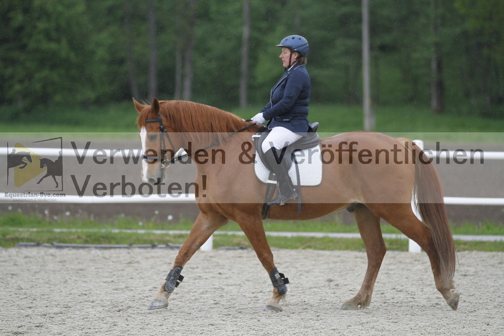 _MG_1015 | equestrian-live-com