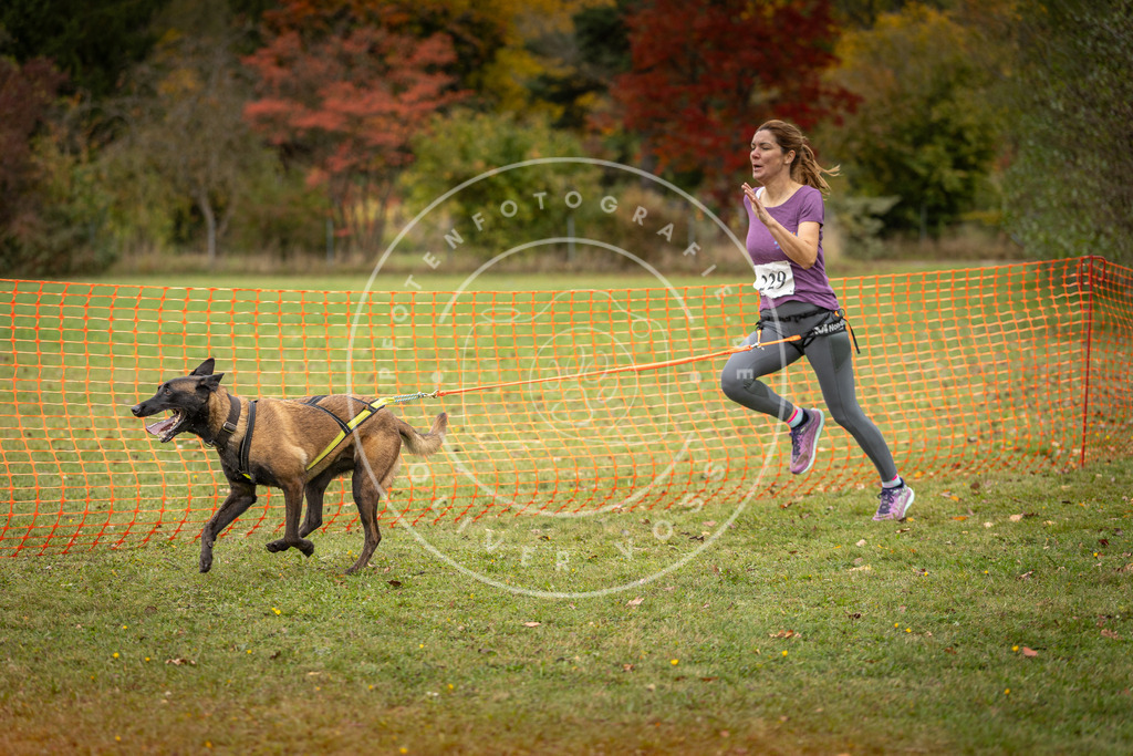 Pfotenfotografie_DV3A4545 | Hundefotografie, Tierfotograf, Pfotenfotografie, Fotoshooting Hund, Hunde Portrait, Hundesport, Hundeportraits, Heideshooting, Hunde, Sportfotograf, Hundefotograf, Turnierhundsport, THS,  - Realisiert mit Pictrs.com