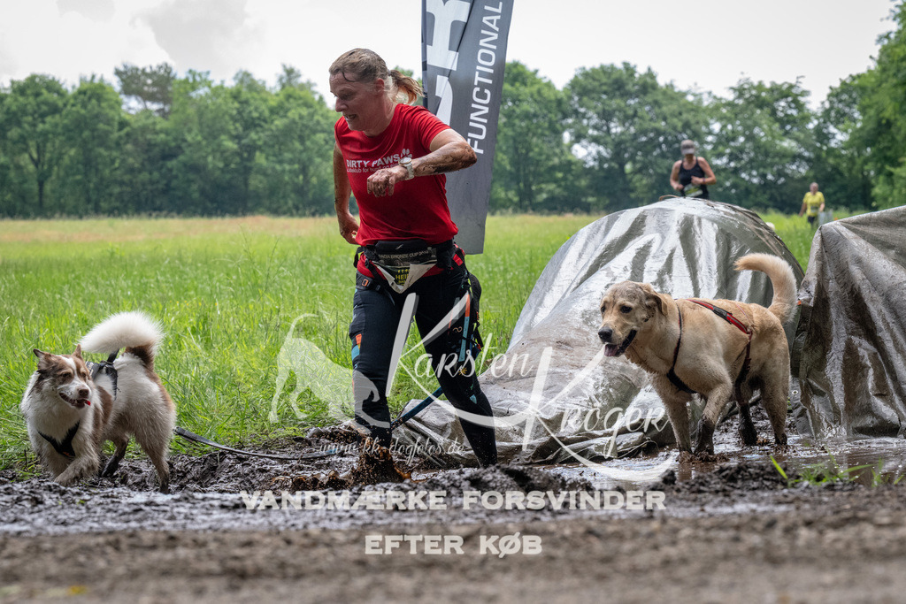 1119_ZZ92453 | kk-dogfotos