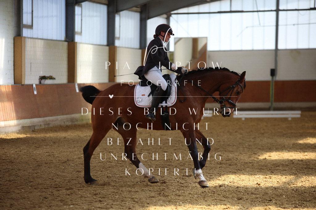 IMGT5014 | pl-fotografie