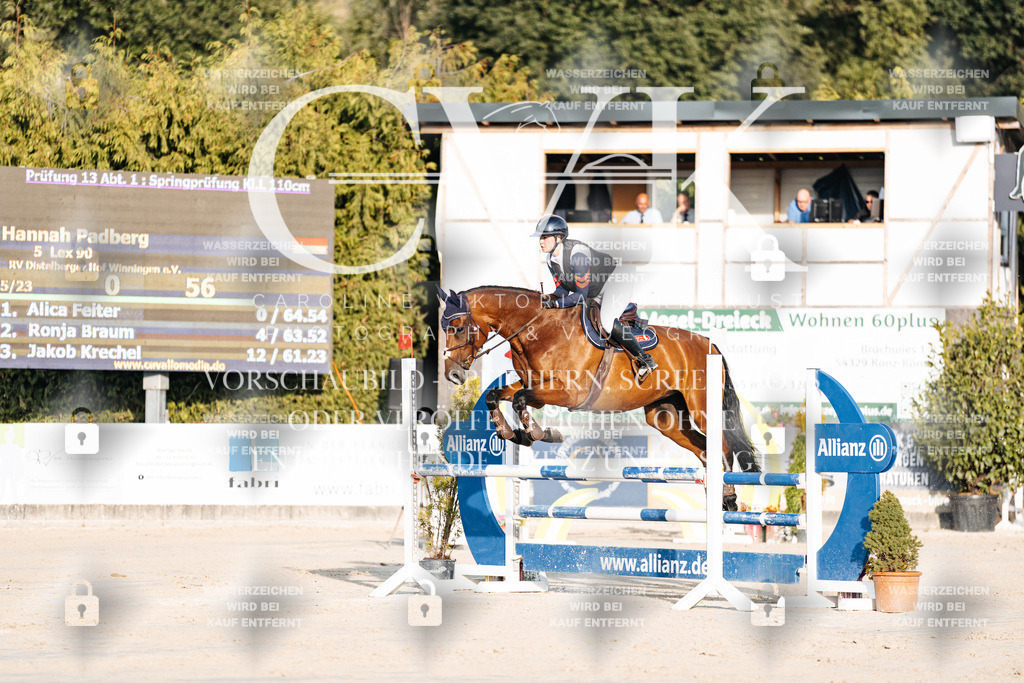 CK900675 | Turnierfotografie Pferdefotografie Trier Rheinland-Pfalz Pferdesport Reitsport Tierfotografie Sportfotografie Pferdevideo Pferdevideografie Equestrianvideography equestrianphotography  - Realisiert mit Pictrs.com