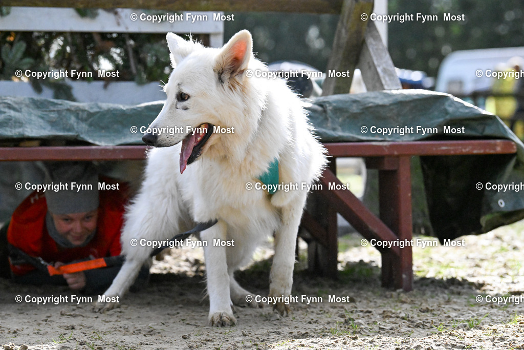 DSC_6261 | Hallo und herzlich Willkommen auf meiner Shop-Seite Fynn Most.

Ich wünsche Dir viel Spaß beim stöbern durch die Bilder, wenn Du Fragen hast oder Bilder vermisst, kannst du mir gerne eine Nachricht schreiben. - Realisiert mit Pictrs.com