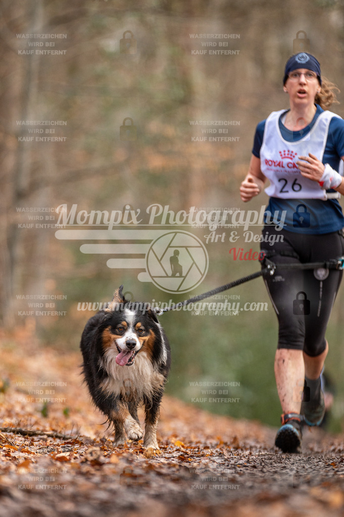 SPA_2023_DIM_CCL-130 | PayLife