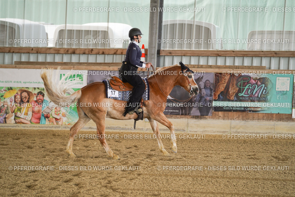 DSC09811 | Pferdegrafie