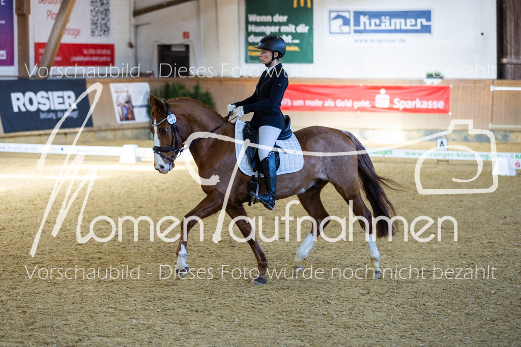 Sth-LPO25-DrR-L-235 | MomenTaufnahmen Pferdesportfotos