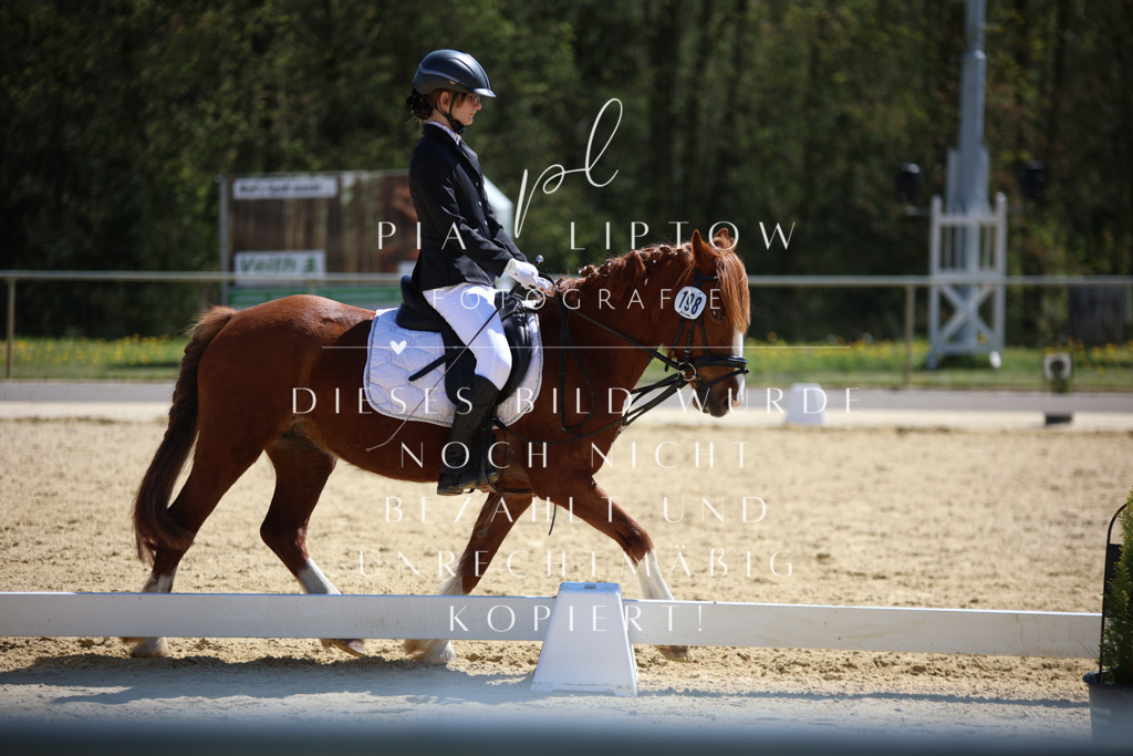 IMGT1066 | pl-fotografie