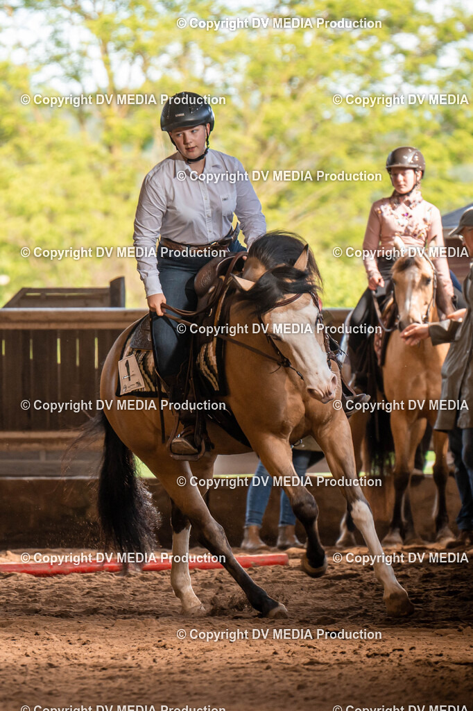 Erbach Tag 1-960 | dv-media-shop - Realisiert mit Pictrs.com