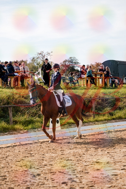 2026_10_03_Siefer-Hof_132823_Z63_88991342 | Professionelle Reitsport-, Turnier- und Eventfotografie von Robert Broda. Galerien mit ausgewählten und bearbeiteten Bildern direkt online ansehen und bestellen.