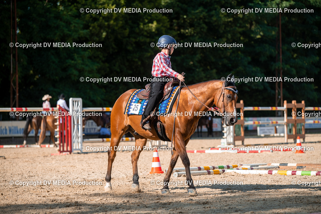 EWP_7008 | dv-media-shop - Realisiert mit Pictrs.com