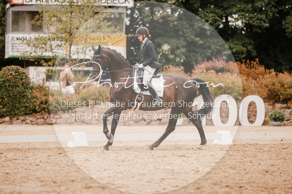 3I6A5850 | Stimmungsvolle Portraits und Reitsportfotografie im Ruhrgebiet und im Münsterland.

Pferdefotografie, Hundefotografie, Tierfotografie, Reportagen, Portraits von Tier und Mensch, Turnierfotografie in Bochum, Recklinghausen, Marl, Haltern am See, Dülmen.. - Realisiert mit Pictrs.com