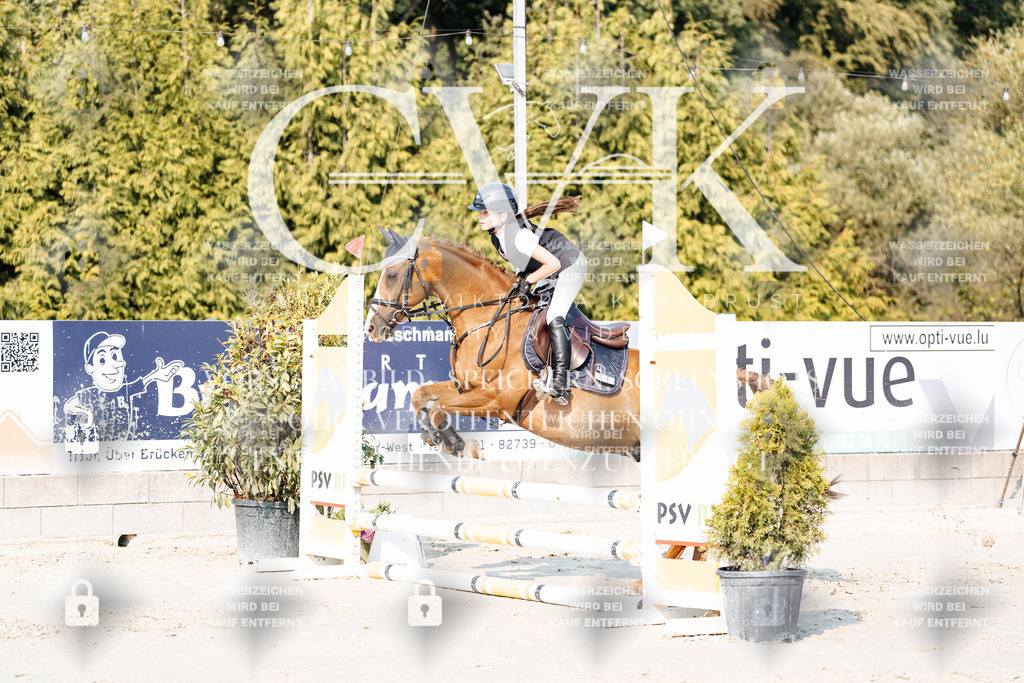 CK902729 | Turnierfotografie Pferdefotografie Trier Rheinland-Pfalz Pferdesport Reitsport Tierfotografie Sportfotografie Pferdevideo Pferdevideografie Equestrianvideography equestrianphotography  - Realisiert mit Pictrs.com
