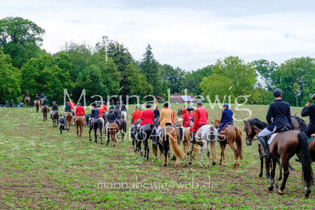Jagd Perdoel 26 Fuji-9789_MarinaHewig | Fotografie, FotoArt, PferdesportArt, Pferdesportfotografie, Landschaftsfotografie, Reisefotografie, Reise, Pferde - Realisiert mit Pictrs.com
