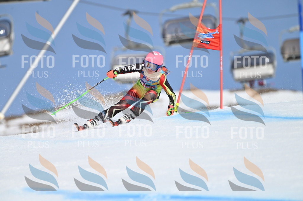 BGV_9537 | holidayphoto