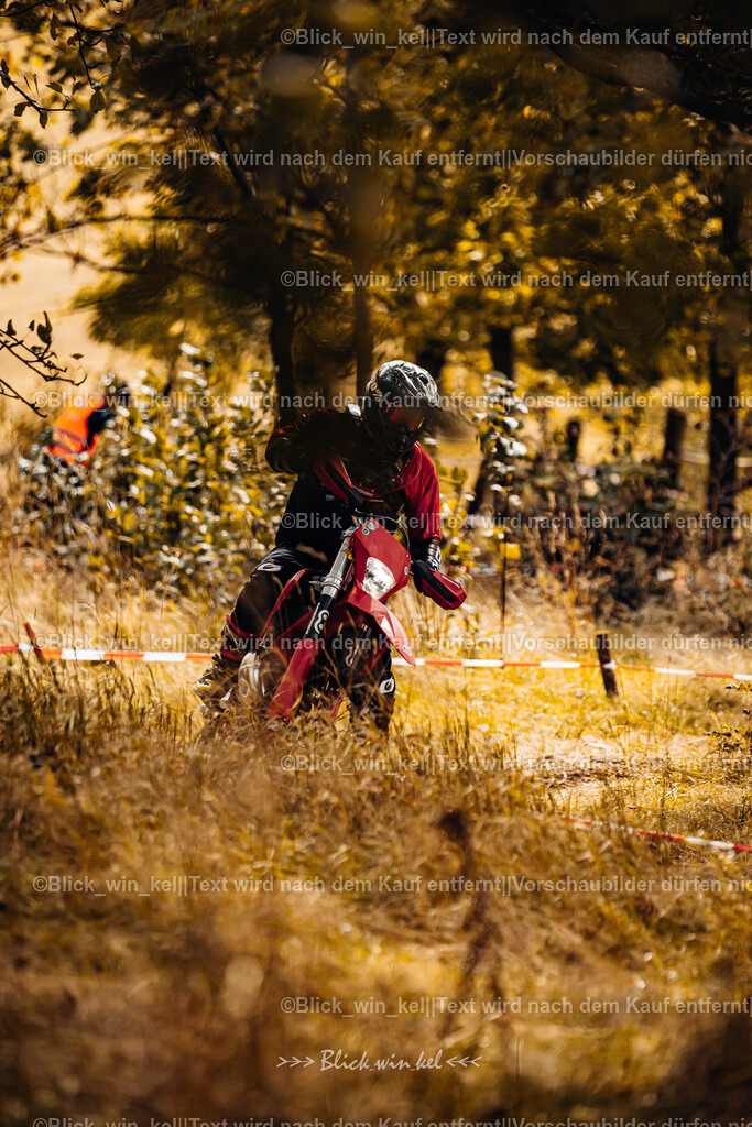 E68A2626 | blick_win_kel