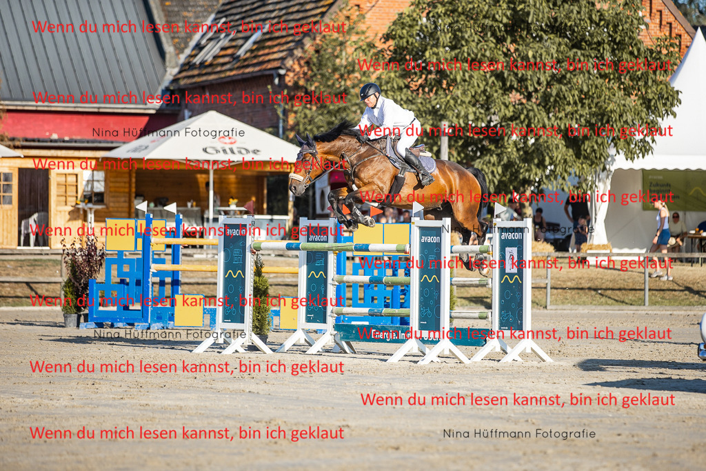 BK1A8805 | Turnierbilder Turnierfotos Nina Hüffmann Turnierfotografie Pferdefotografie Tierzeichnung Haustierzeichnung Pferdezeichnung Hundezeichnung Videograf  - Realisiert mit Pictrs.com