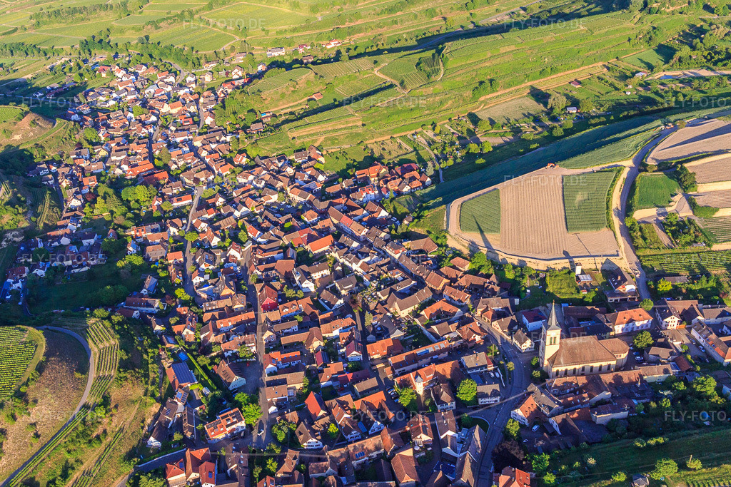 Luftbild: Winzerdorf im Kaiserstuhl aus Westen im Ortsteil Oberrotweil in Vogtsburg im Bundesland Baden-Württemberg in Deutschland. Foto: IMG_147884.jpg vom 30.05.2025 durch Werner Riehm/FLY-FOTO.de