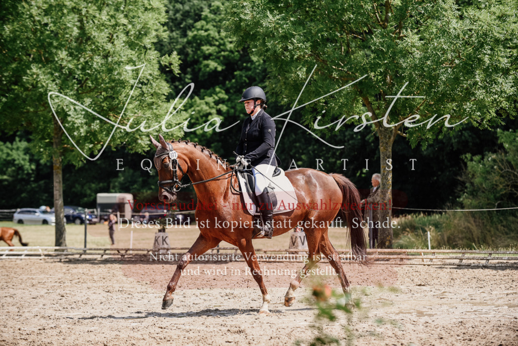 DSC_1327 | Pferde- und Turnierfotografie in Westsachsen. Pferdeportraits, Auftragszeichnungen und intuitive Kunst.
