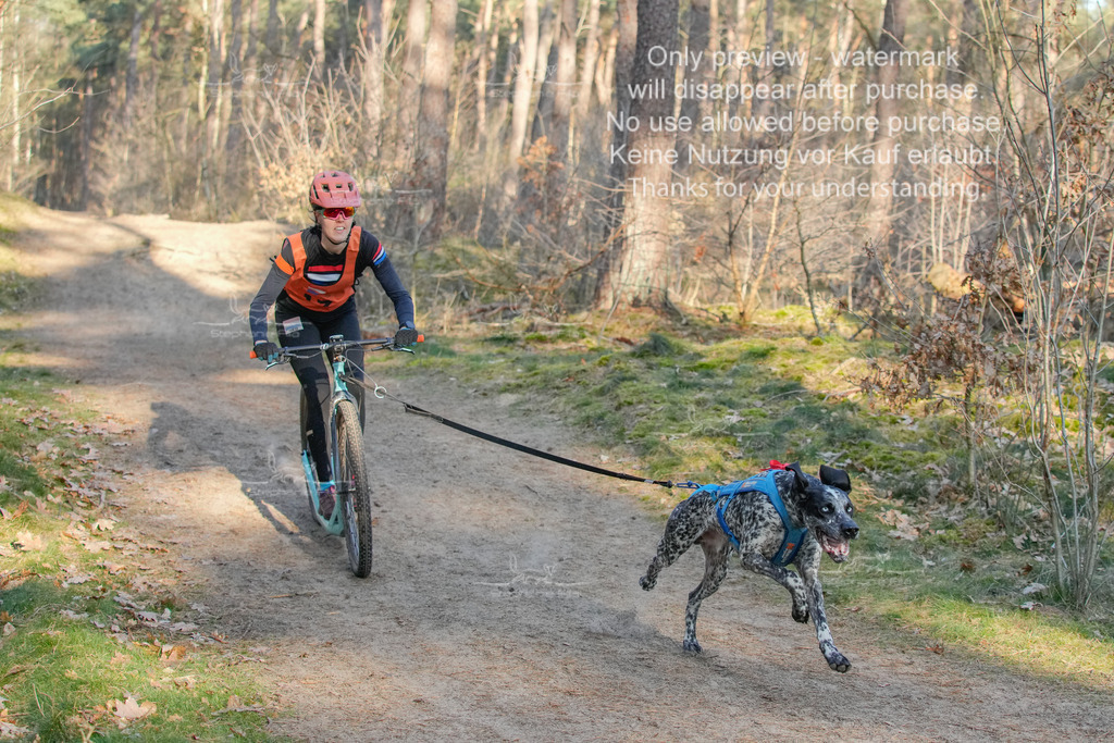 Sa_Scooter-69 | stephaniefillaphotographie - Realisiert mit Pictrs.com