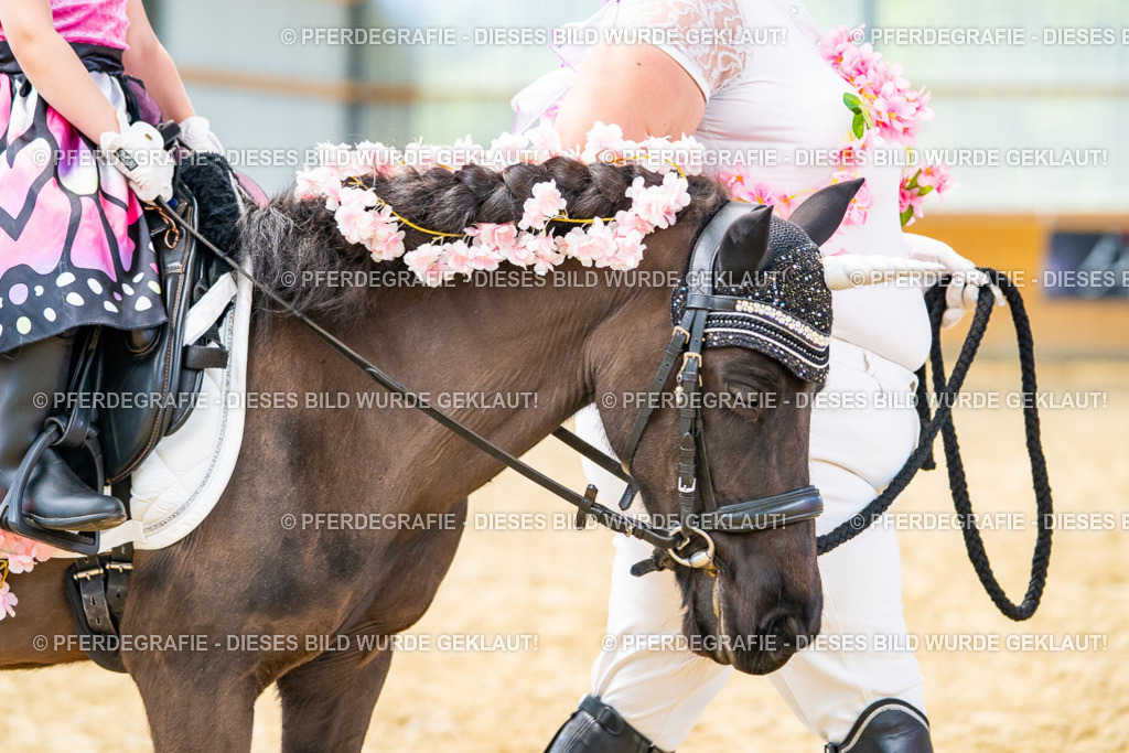 DSC00145 | Pferdegrafie