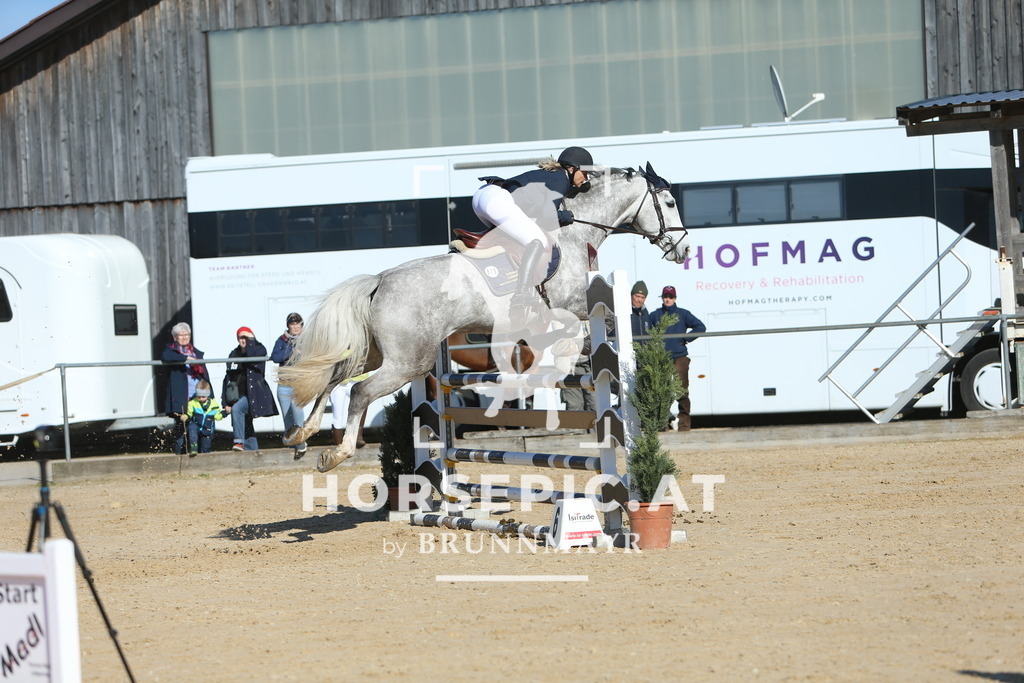 DL2Q1340 | Willkommen bei Brunnmayr - Design & Fotografie – Ihrem Spezialisten für Reitturniere und Pferdeveranstaltungen in Oberösterreich, Salzburg und Bayern! Seit über 17 Jahren sind wir leidenschaftlich dabei.