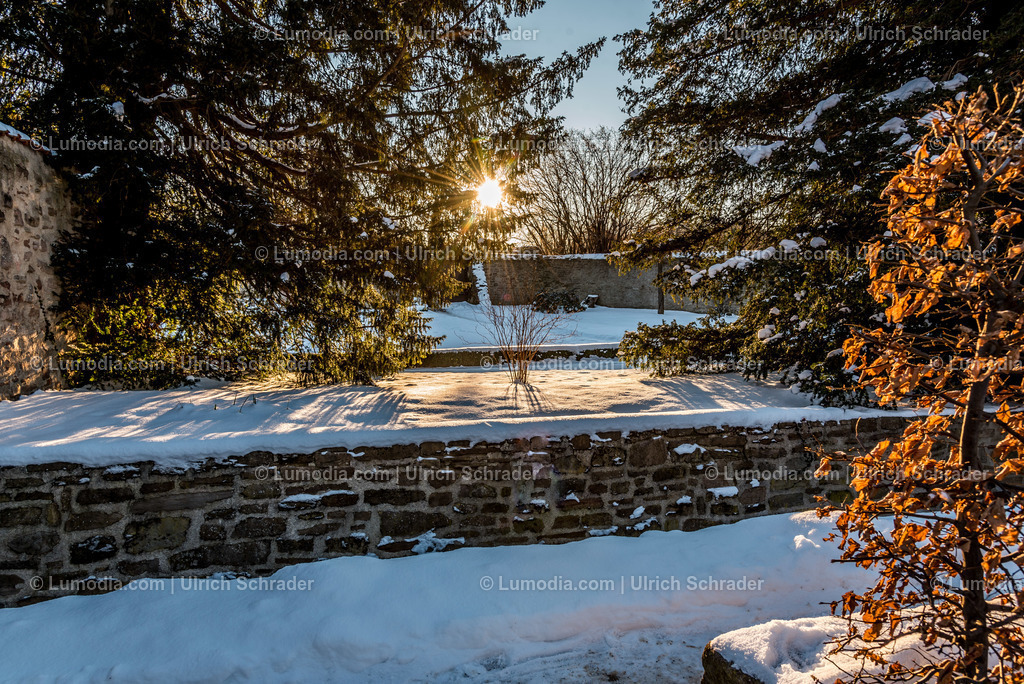 10049-4901 - Klostergärten Drübeck | Stockfoto und Bilderpool mit Bildmaterial aus Deutschland, dem Harz, Halberstadt, Quedlinburg, Wernigerode und weltweit. Qualitativ hochwertige und professionelle Fotos anschauen und kaufen. - Realisiert mit Pictrs.com