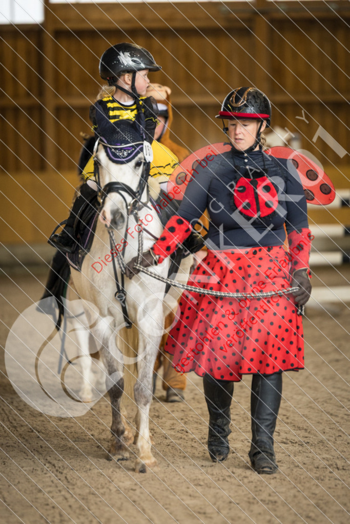 IMG_1938 | Sport-, Event- und Tierfotos in Profiqualität. Einfach auswählen, bestellen und herunterladen. Dein Moment – perfekt festgehalten.