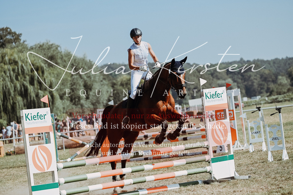 DSC_9513 | Pferde- und Turnierfotografie in Westsachsen. Pferdeportraits, Auftragszeichnungen und intuitive Kunst.