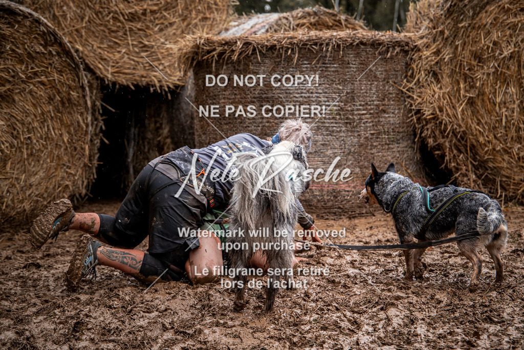 nelerasche_Hunsrück_So09-11_94 | nelerasche