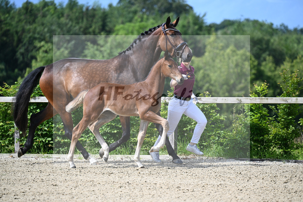 Dinken x Balou du Rouet_HF_Gossner_19240015 | hf-fotografie - Realisiert mit Pictrs.com