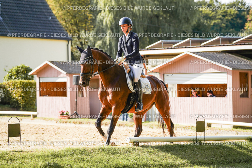 DSC06768 | Pferdegrafie