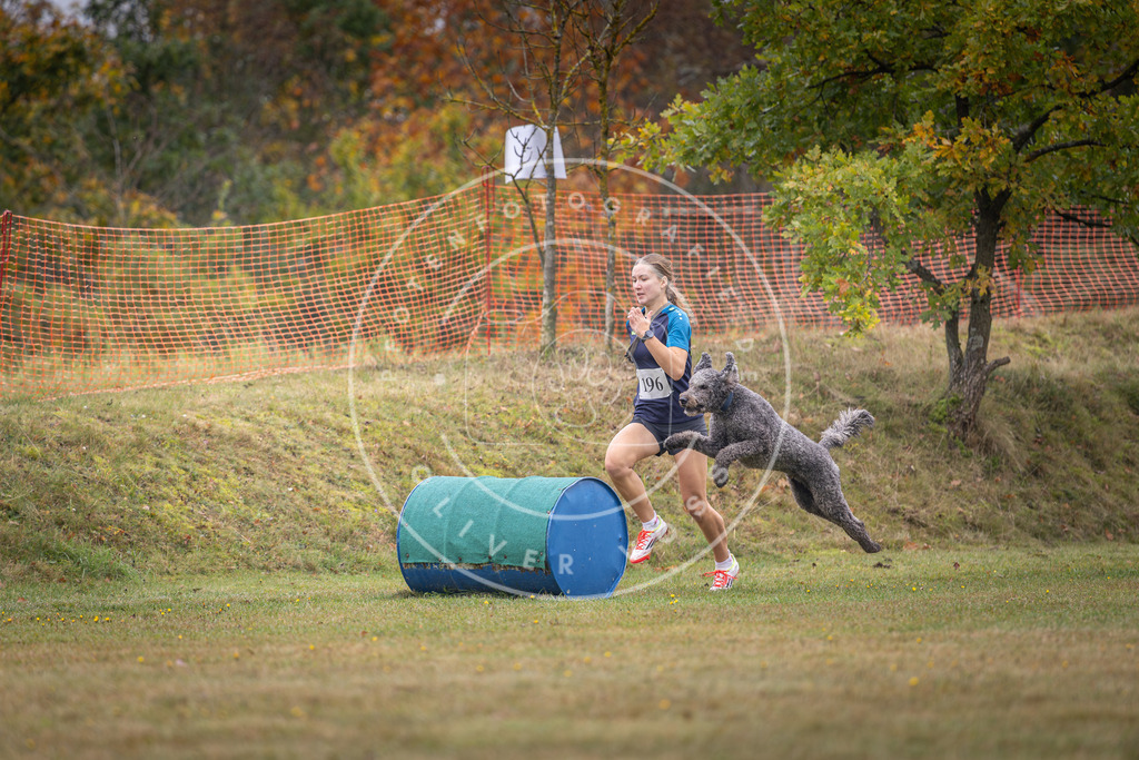 Pfotenfotografie_DV3A1397 | Hundefotografie, Tierfotograf, Pfotenfotografie, Fotoshooting Hund, Hunde Portrait, Hundesport, Hundeportraits, Heideshooting, Hunde, Sportfotograf, Hundefotograf, Turnierhundsport, THS,  - Realisiert mit Pictrs.com