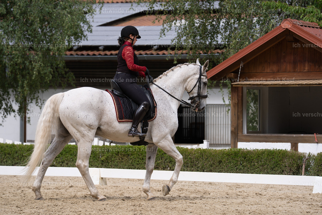WS_DR_63_sinafilmart_IN01526 | working equitationturnier fotograf videograf stoibphotography marixx film working equitation deutschland reitsport turnierfotografie eventfotografie equestrian events