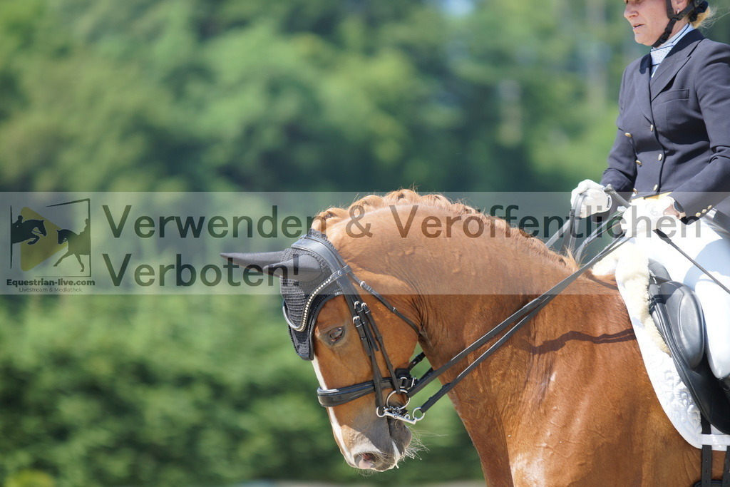 DSC02203 | equestrian-live-com