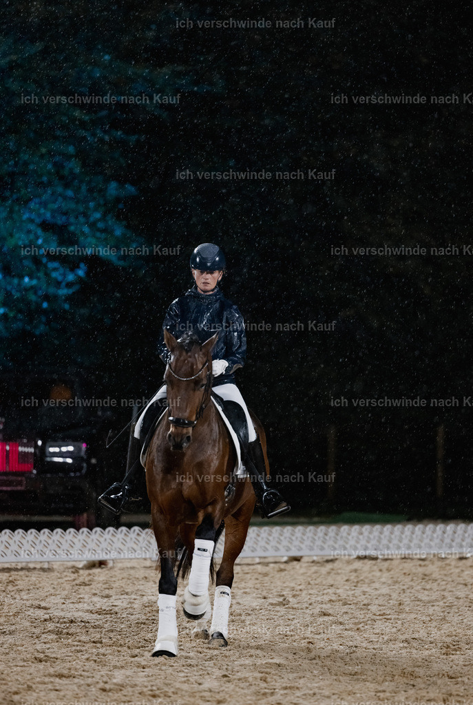 FHClassics-77 | working equitationturnier fotograf videograf stoibphotography marixx film working equitation deutschland reitsport turnierfotografie eventfotografie equestrian events