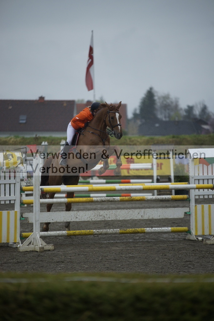_DSC6256 | equestrian-live-com