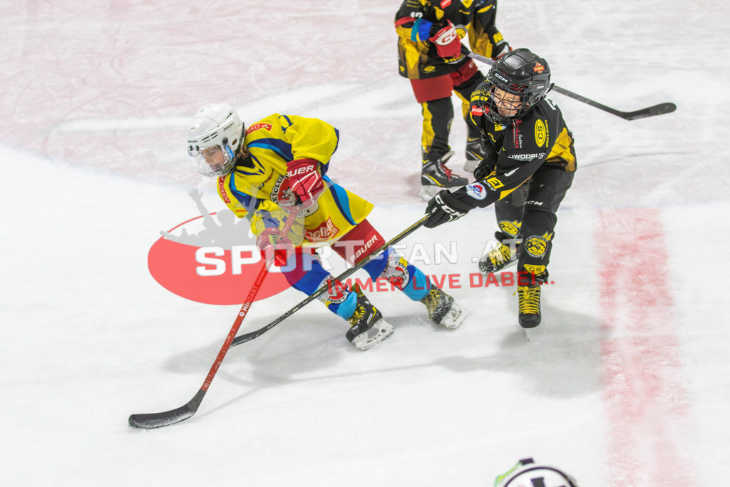 Eishockey | Eishockey, KEHV U10 Abschlussturnier am 17.03.2024 in Ferlach (HTC Eissporthalle), Austria, (Photo by Ernst Krawagner sport-fan.at) - Realisiert mit Pictrs.com