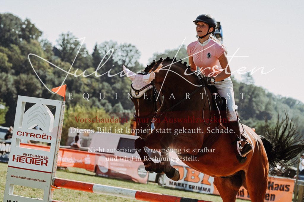 DSC_6551 | Pferde- und Turnierfotografie in Westsachsen. Pferdeportraits, Auftragszeichnungen und intuitive Kunst.