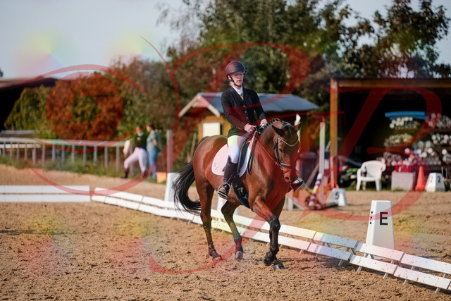 2026_10_03_Siefer-Hof_131121_Z63_74739729 | Professionelle Reitsport-, Turnier- und Eventfotografie von Robert Broda. Galerien mit ausgewählten und bearbeiteten Bildern direkt online ansehen und bestellen.
