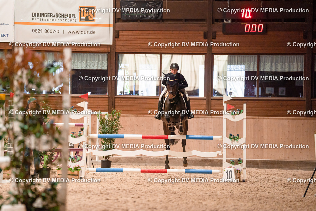 Springen Tag 3-026 | dv-media-shop - Realisiert mit Pictrs.com