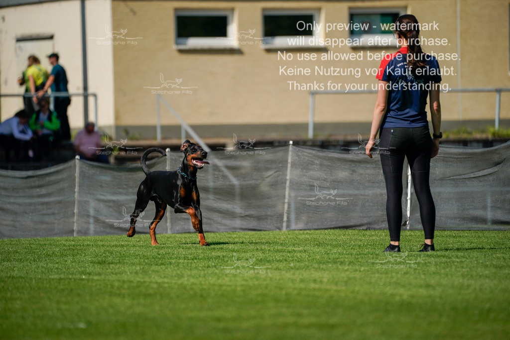 Samstag_Gehorsam (55 von 192) | stephaniefillaphotographie - Realisiert mit Pictrs.com