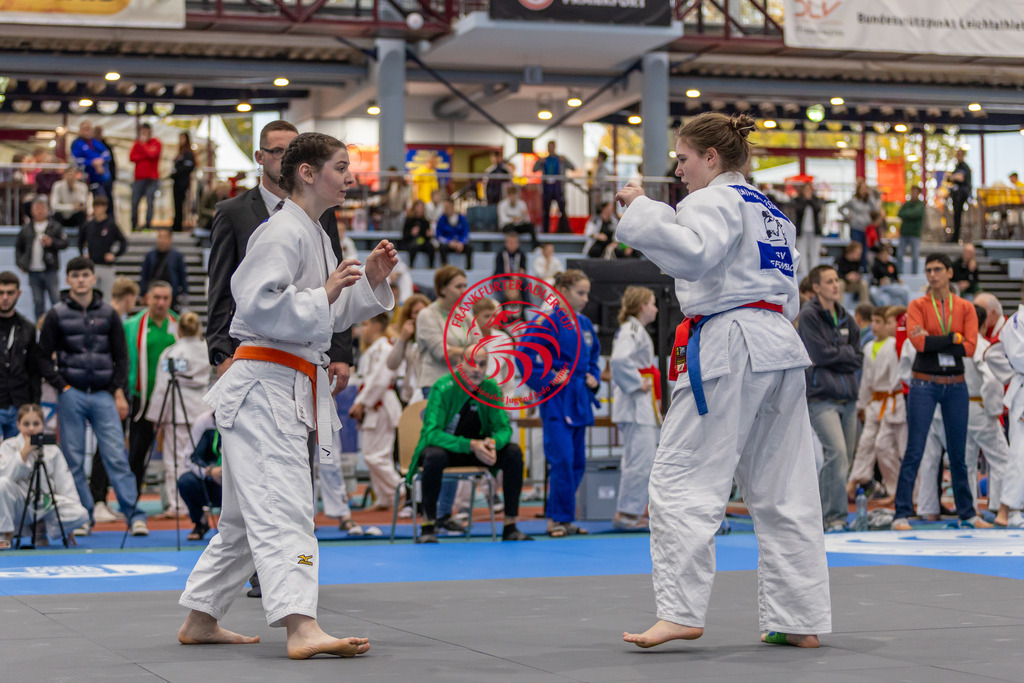 Internationaler Adler Cup 2024 | Foto vom Internationalen Adler Cup Judo Turnier im Sport- und Freizeitzentrum Kalbach im Oktober 2024 - Realisiert mit Pictrs.com
