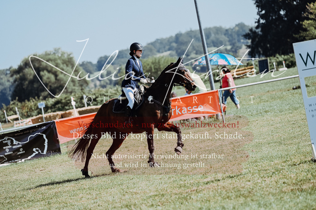 DSC_5880 | Pferde- und Turnierfotografie in Westsachsen. Pferdeportraits, Auftragszeichnungen und intuitive Kunst.