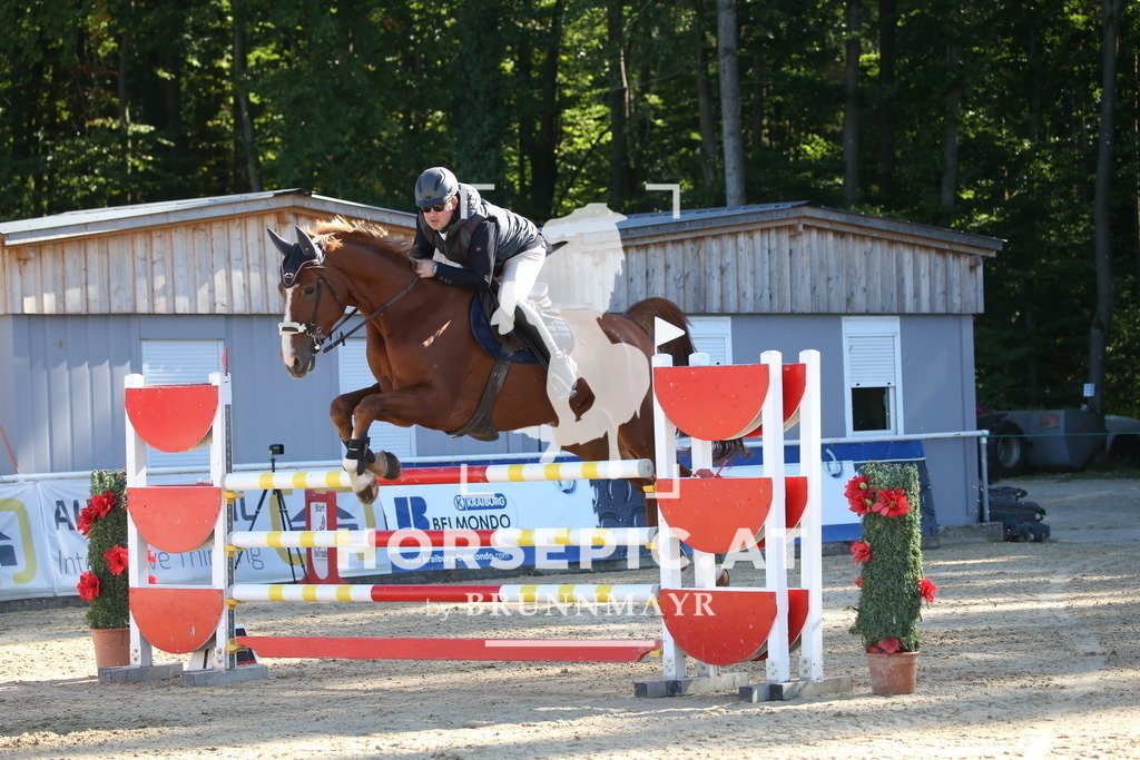 DL2Q3310 | Willkommen bei Brunnmayr - Design & Fotografie – Ihrem Spezialisten für Reitturniere und Pferdeveranstaltungen in Oberösterreich, Salzburg und Bayern! Seit über 17 Jahren sind wir leidenschaftlich dabei.