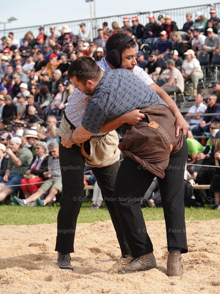 DSC06684 | Schwingen - Realisiert mit Pictrs.com