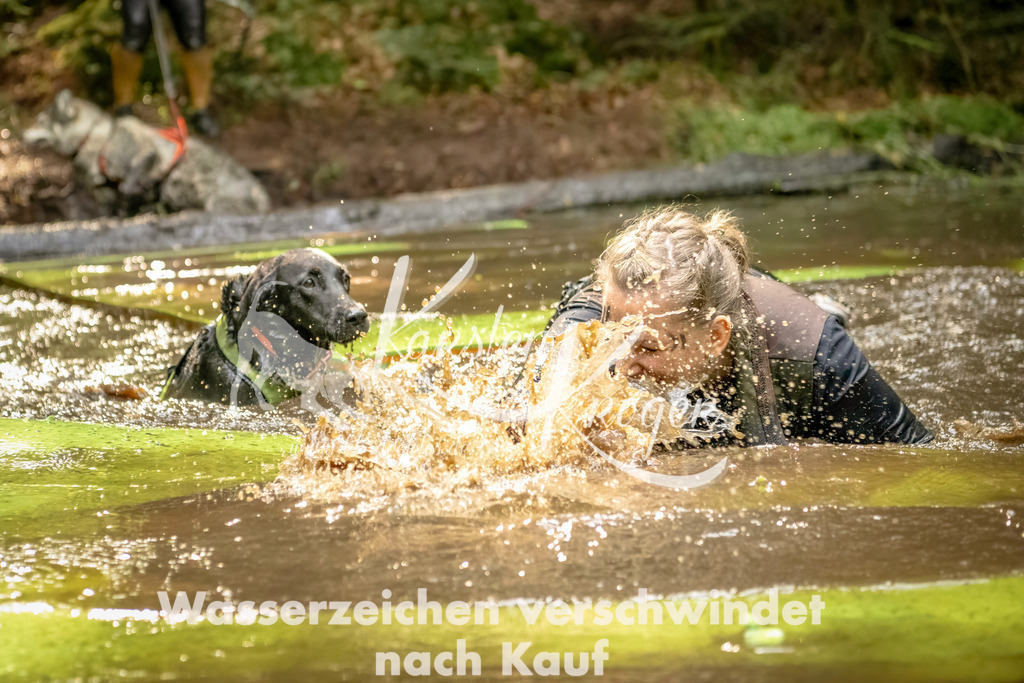 1405_ZZ90897-Bearbeitet | kk-dogfotos