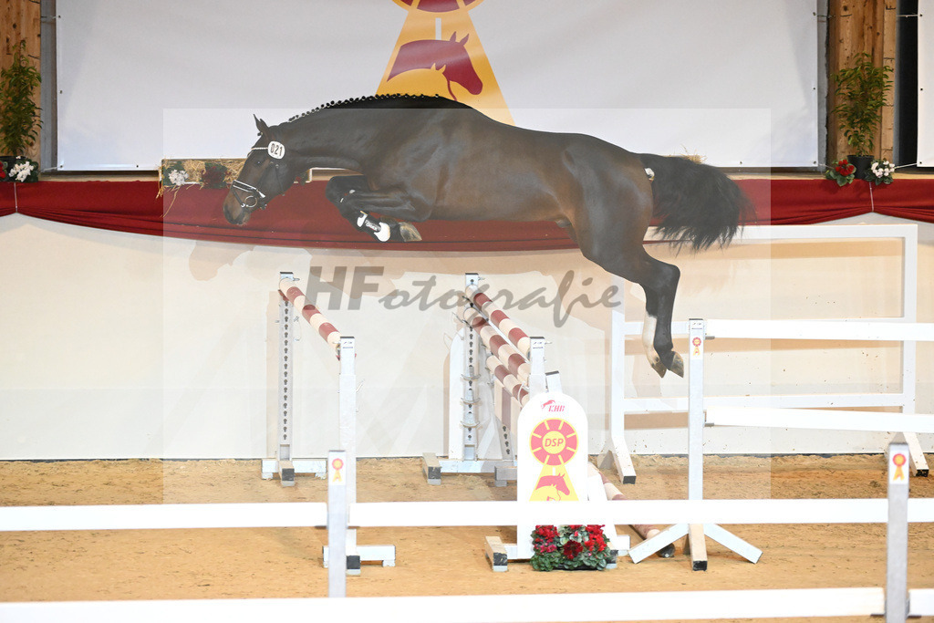 Kat-Nr. 21 Douglas VDL_VDL Stud_1230888 | hf-fotografie - Realisiert mit Pictrs.com